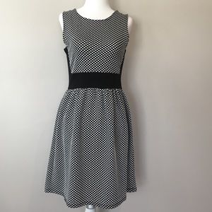 NWT Black and White Polka Dot Dress